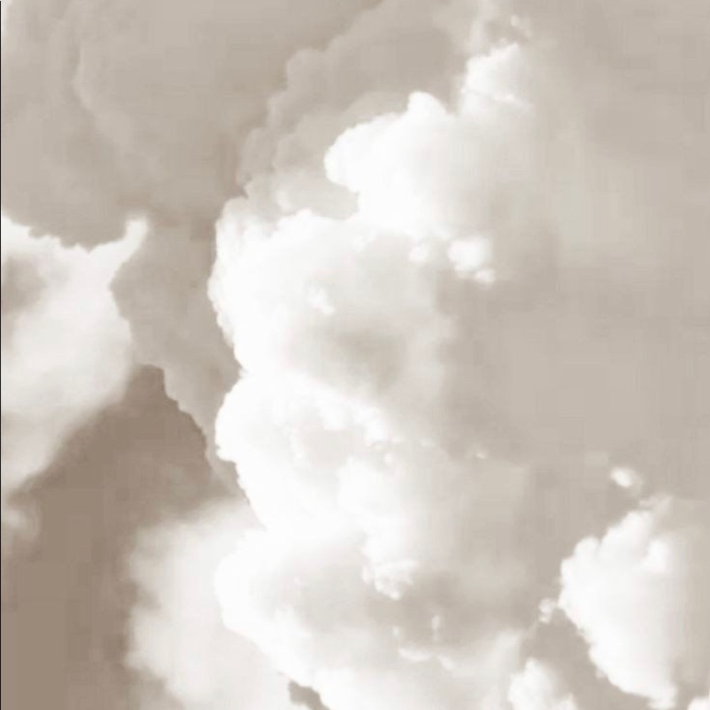 Meet your Posher, Malia